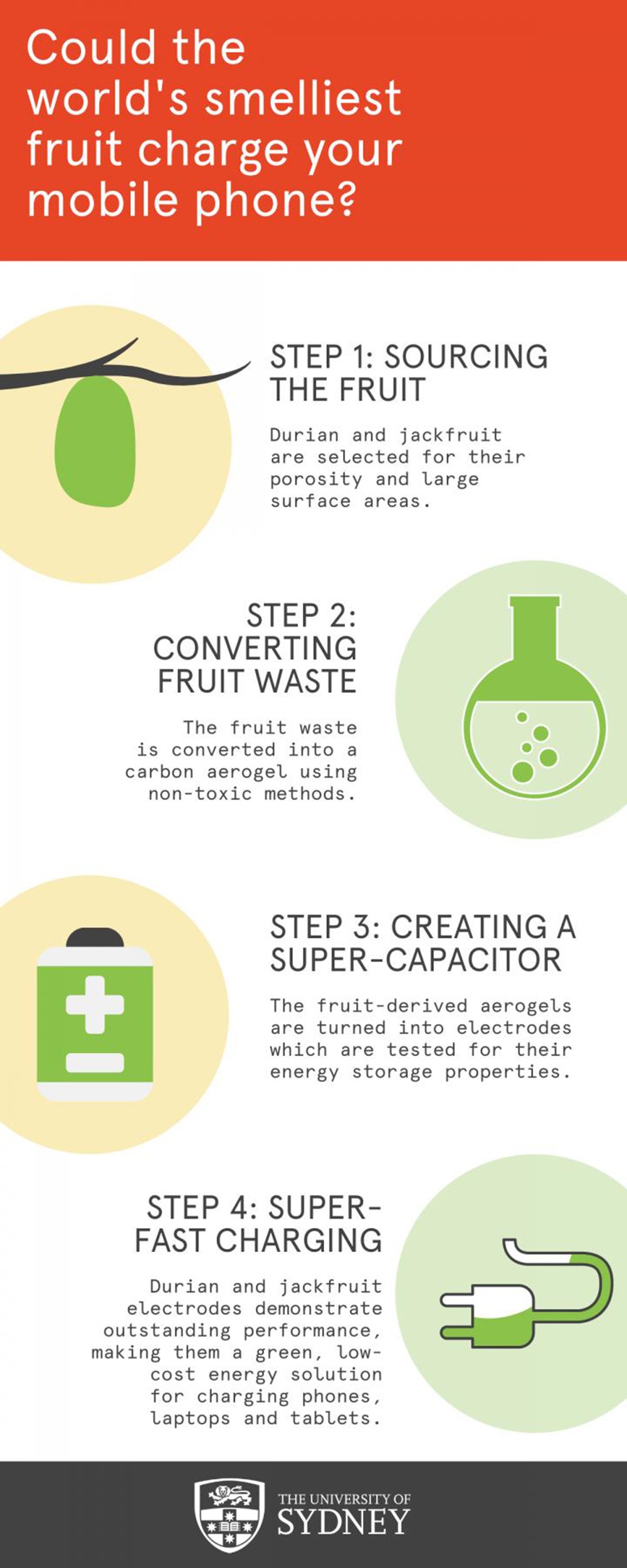 Durian And Jackfruit Waste Could Be Used To Charge Electronics