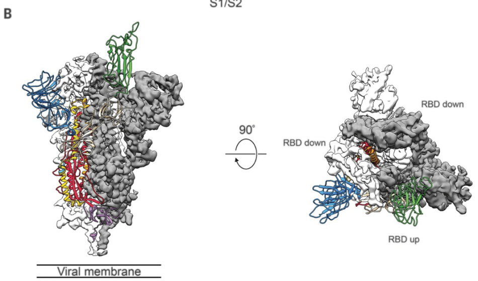 You Can Help Research To Fight COVID-19, Here's How