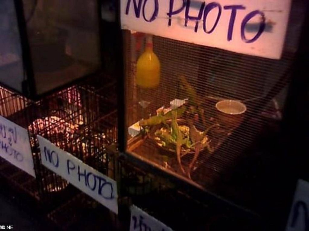 Markets Selling Wild Animals Still Operational Despite COVID-19