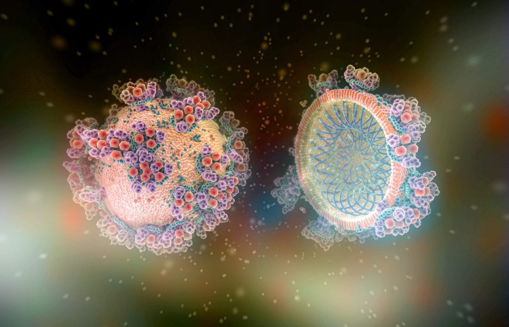 Virus rendering by artist