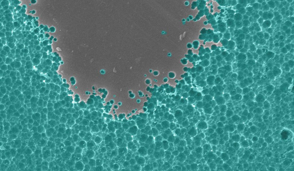 Plastic Recycling Improved With This Mutant Enzyme