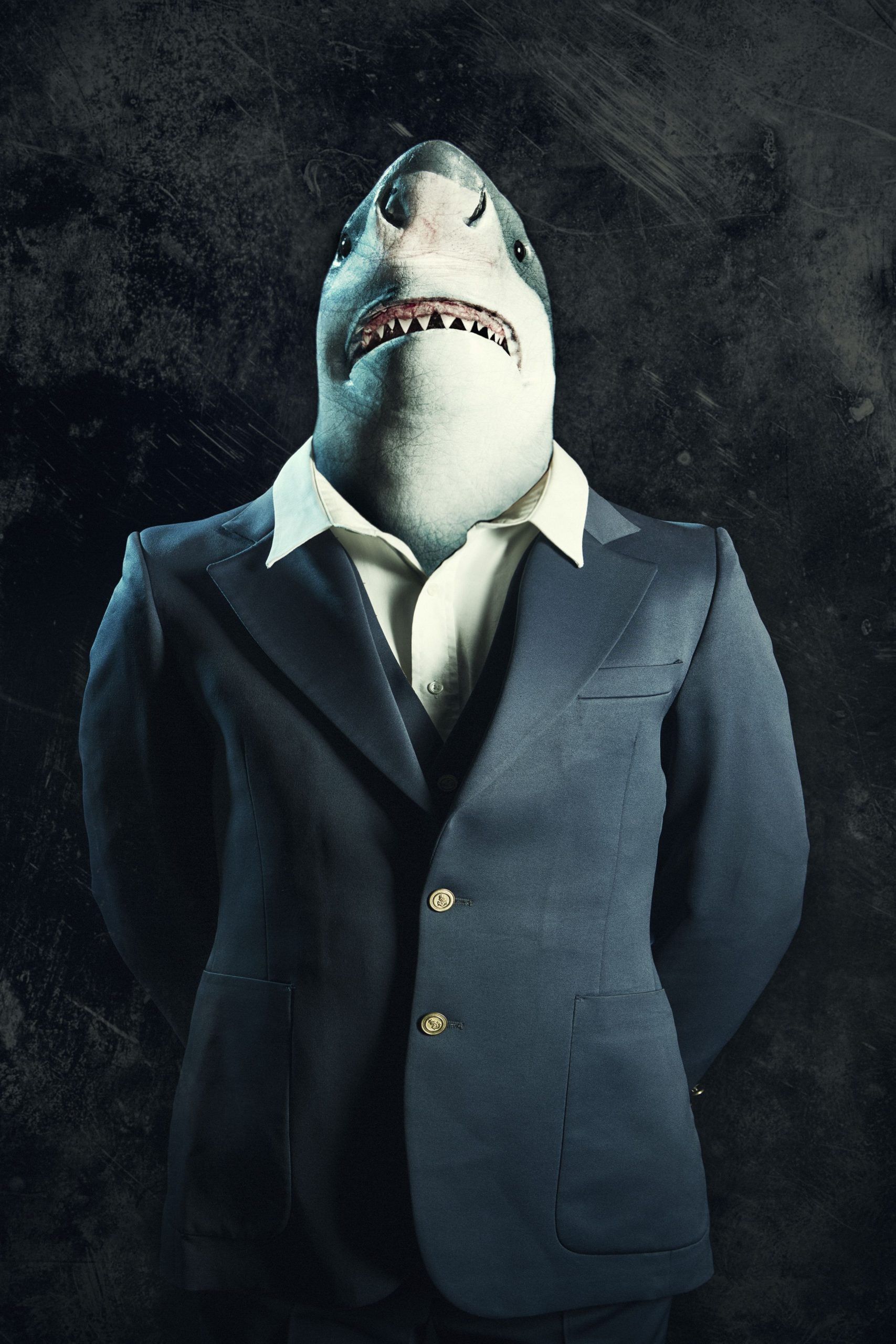 Economic shark