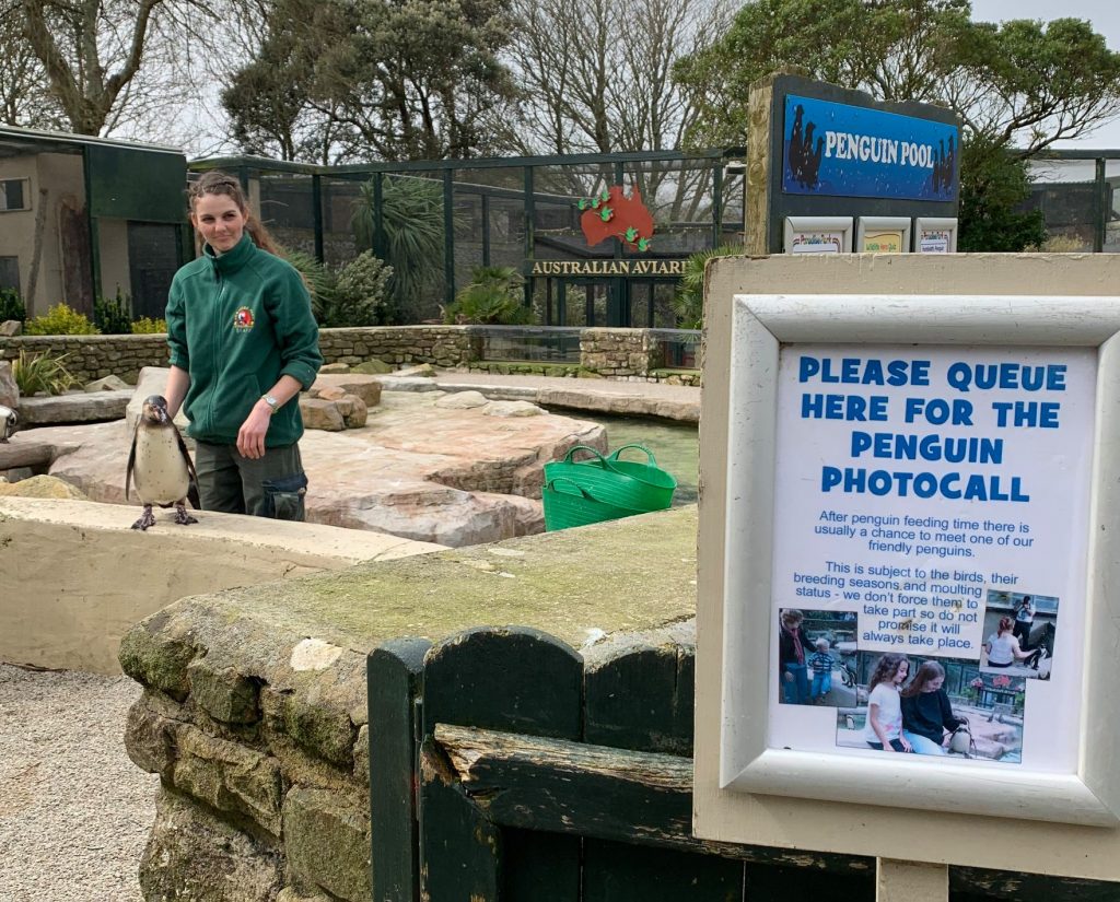 Zookeepers Self-Isolate In Zoo For 3 Months To Care For Animals