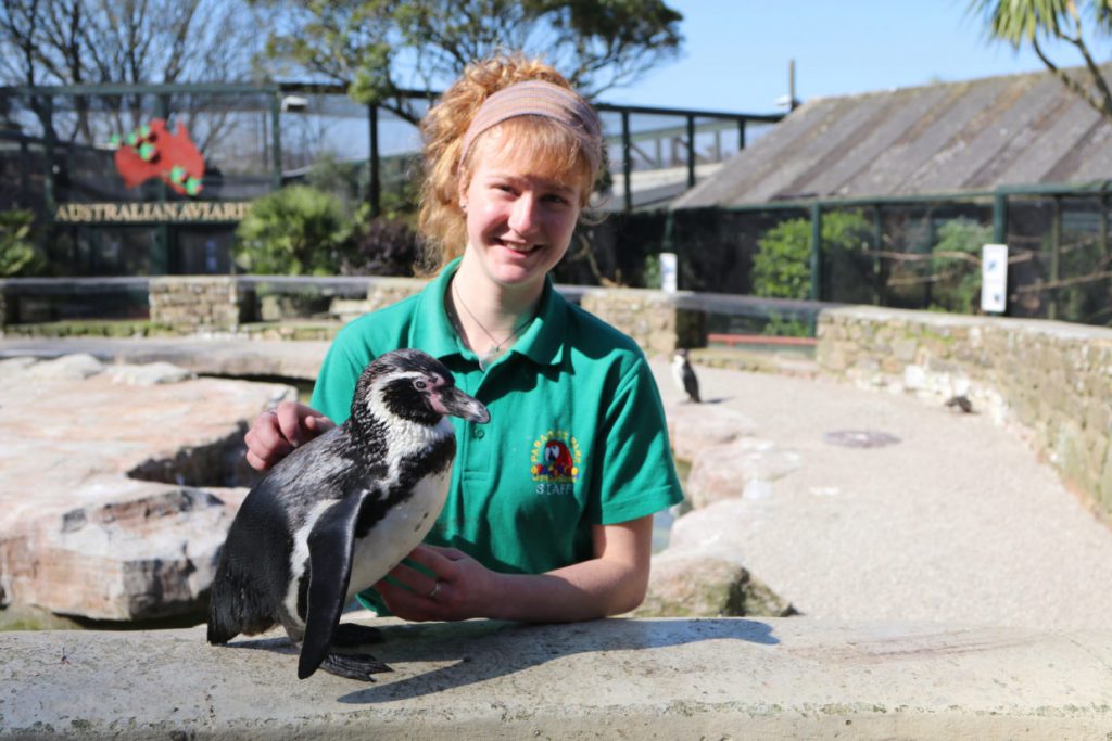 Zookeepers Self-Isolate In Zoo For 3 Months To Care For Animals