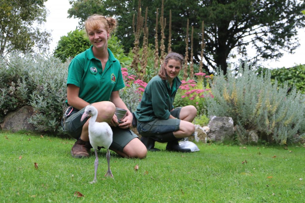 Zookeepers Self-Isolate In Zoo For 3 Months To Care For Animals