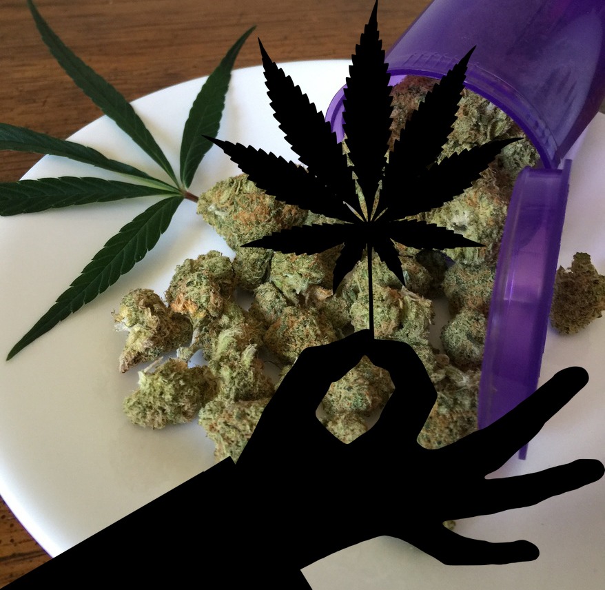 CBD Slows Growth Of Aggressive Brain Cancer Cells And More
