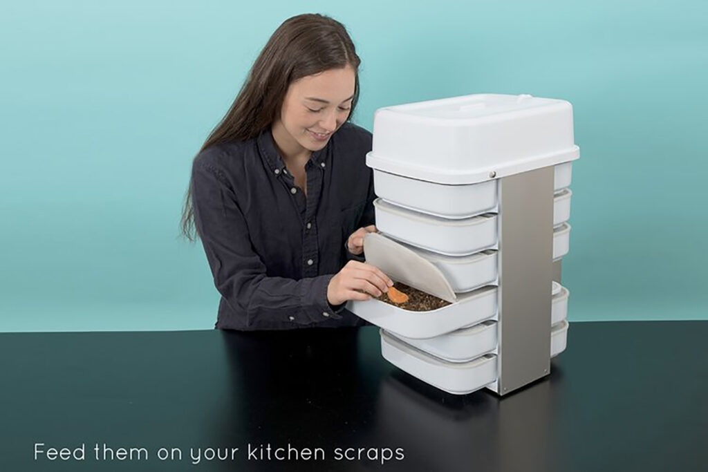 Eating Insects Could Save The World