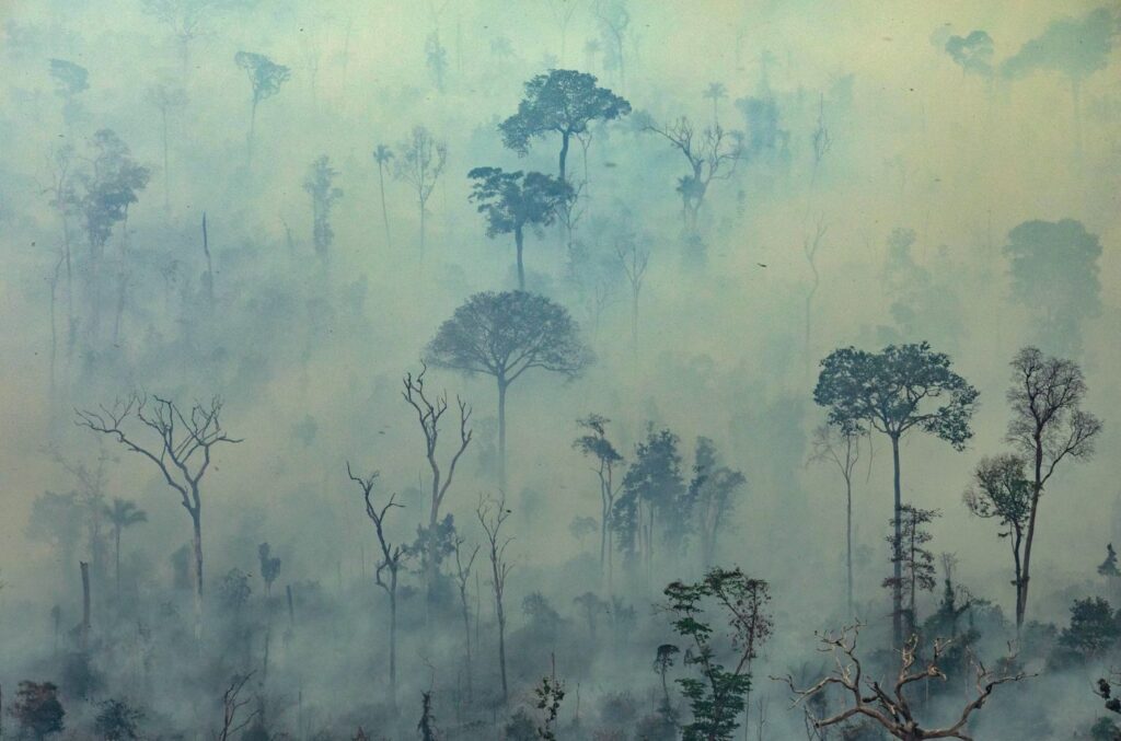 Emissions Emitted From Tropical Forests Largely Underestimated