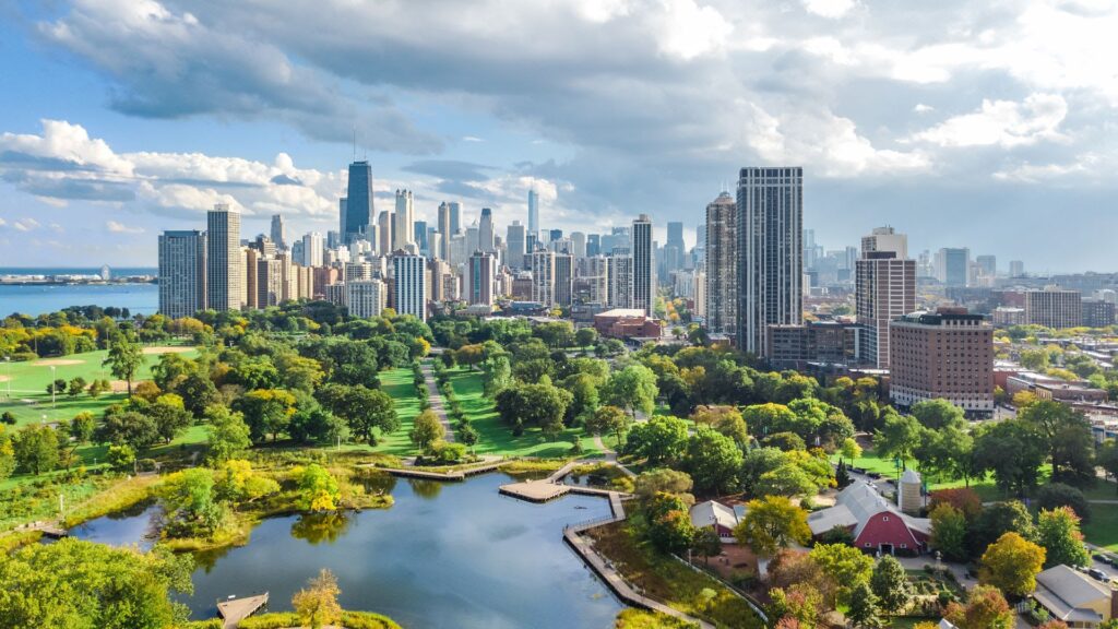 Trees And Greenery Reduces Crime And Improves Health