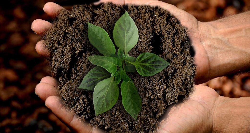 Natura &Co Pledges Zero-Emissions, Amazon Preservation, Human Rights, And More