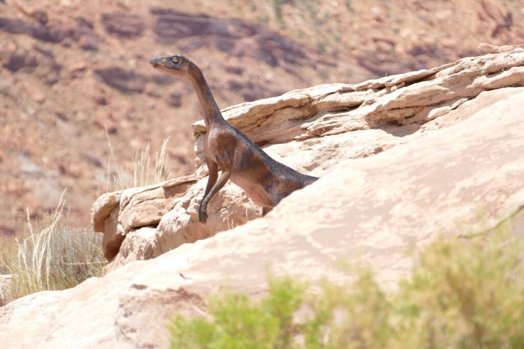 A Mass Extinction Is Underway Accelerating At A Compounding Rate