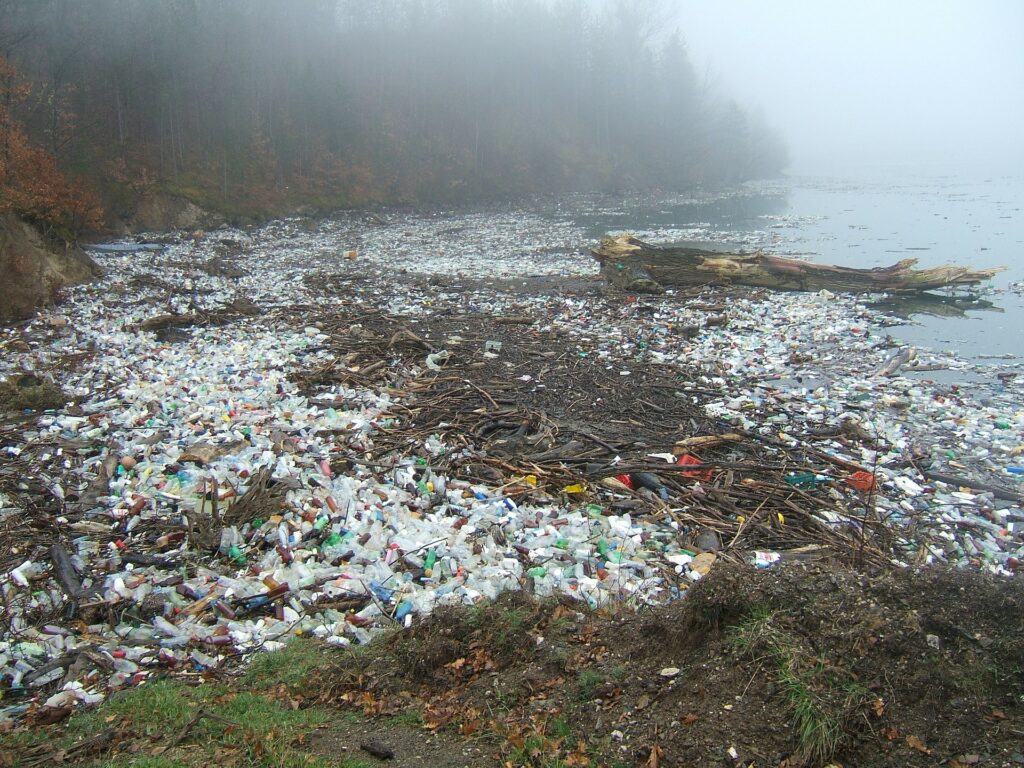 Why People Think Governments Need To Do More About Plastic Pollution