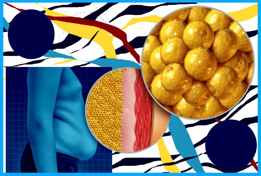 Eosinophils From Belly Fat Can Rejuvenate The Elderly