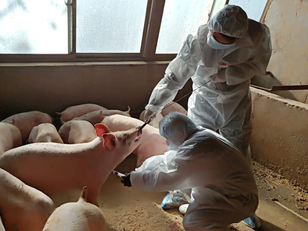 Chinese Scientists Identify A New Flu Virus With 'Pandemic Potential'