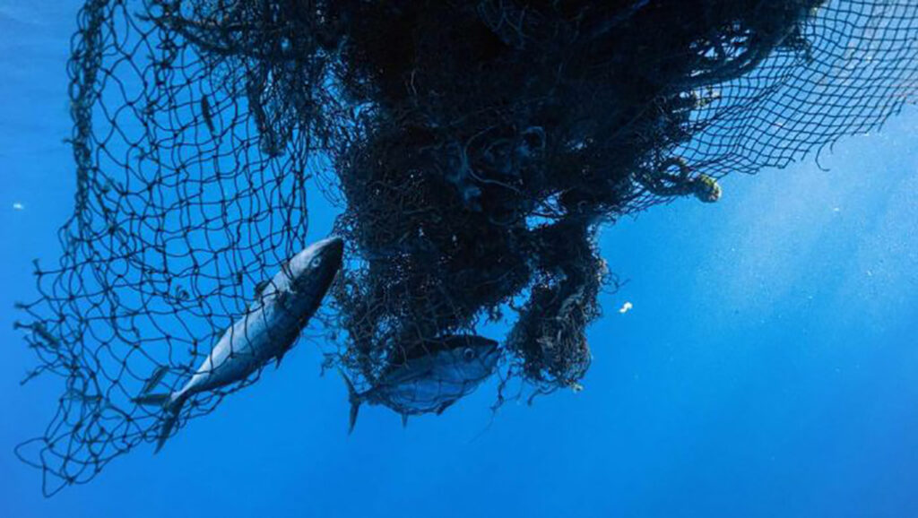 Team Sets Record With Largest Ocean Clean-Up In History