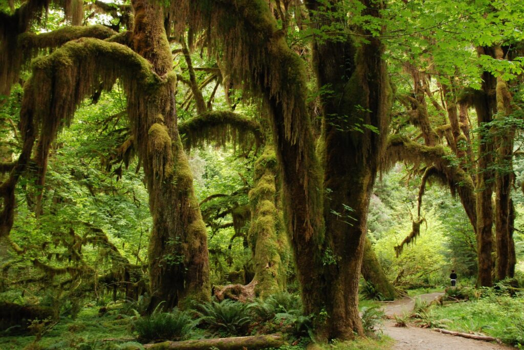 Soil Could Be Used To Fight Climate Change