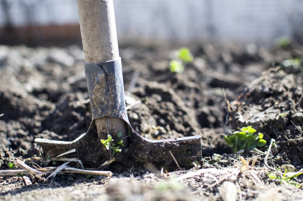 Soil Could Be Used To Fight Climate Change