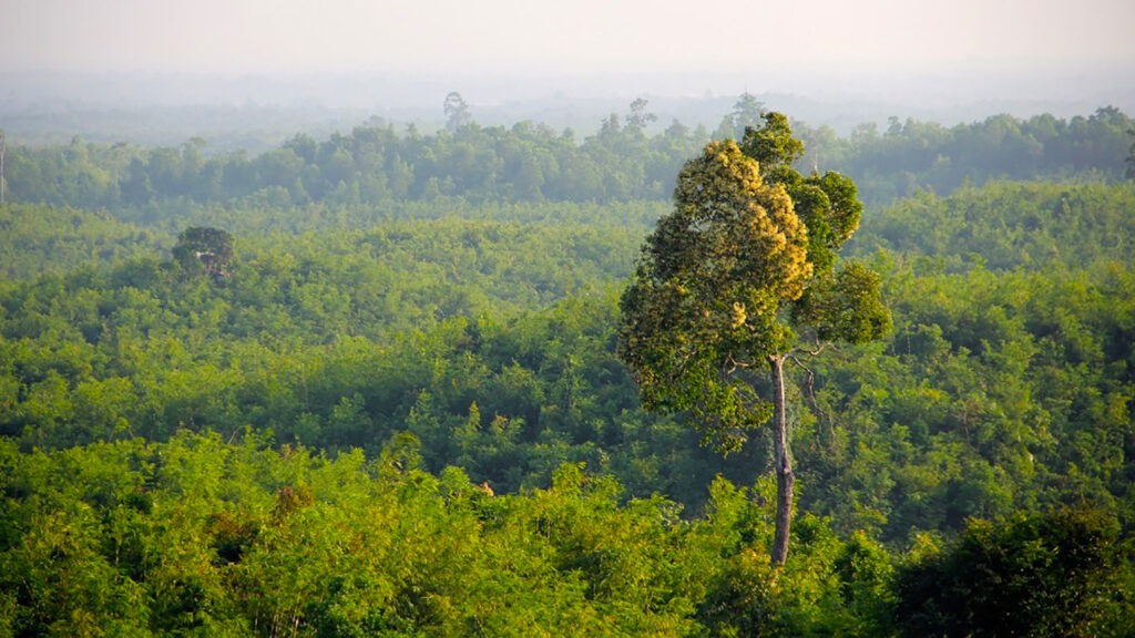 Velux Commits To Become A Lifetime Carbon Neutral Firm By 2041