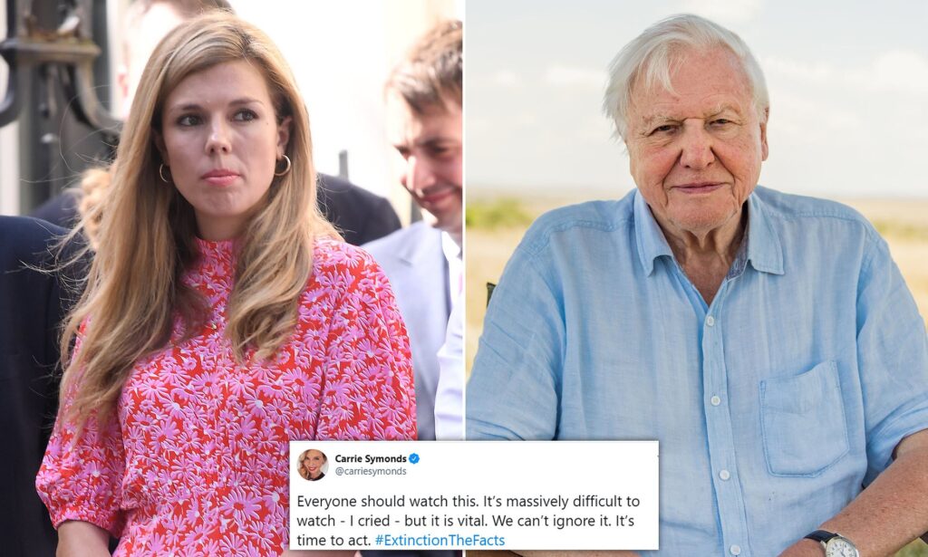 Sir Attenborough’s Heartbreaking New Film On Extinction Is A Must See