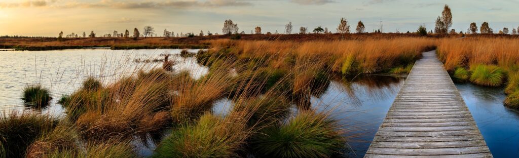 Soil Could Be Used To Fight Climate Change