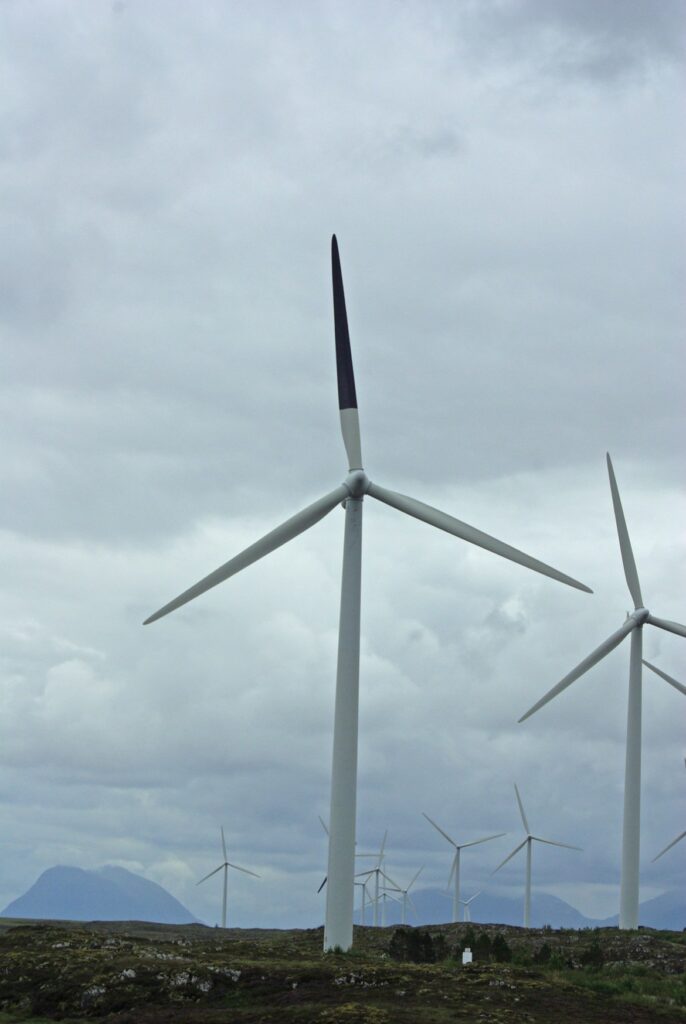 Bird Fatalities Reduced By 72% After Painting One Turbine Blade Black