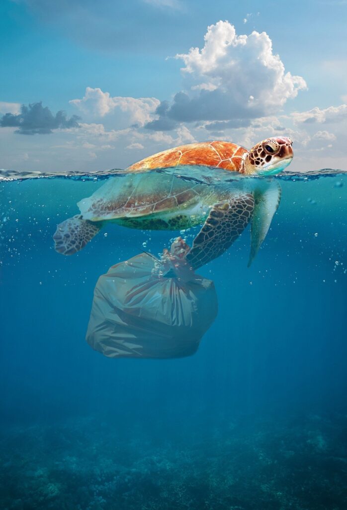 Canada Will Ban Single-Use Plastic Products By The End of 2021