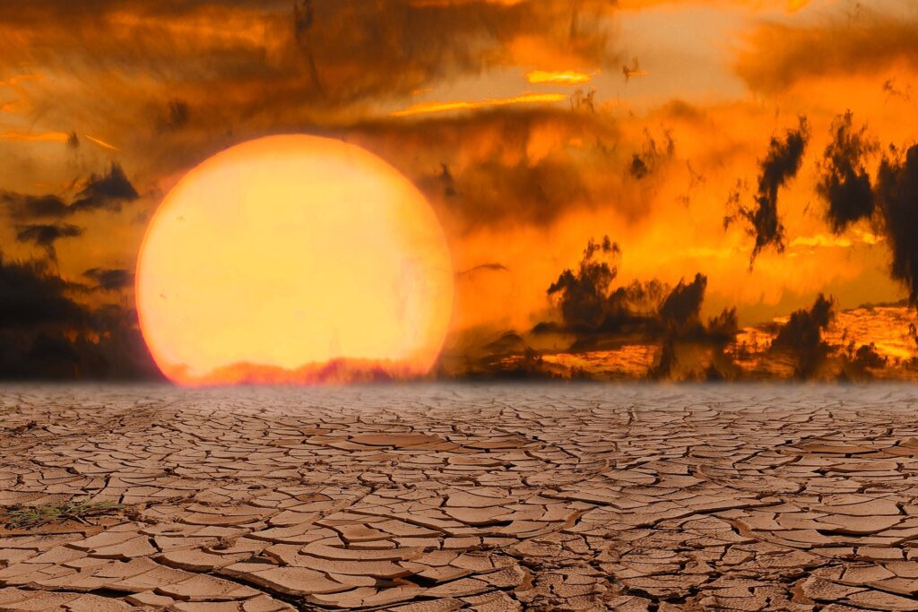 Ads on Facebook Calling Climate Crisis A Hoax Seen By Millions
