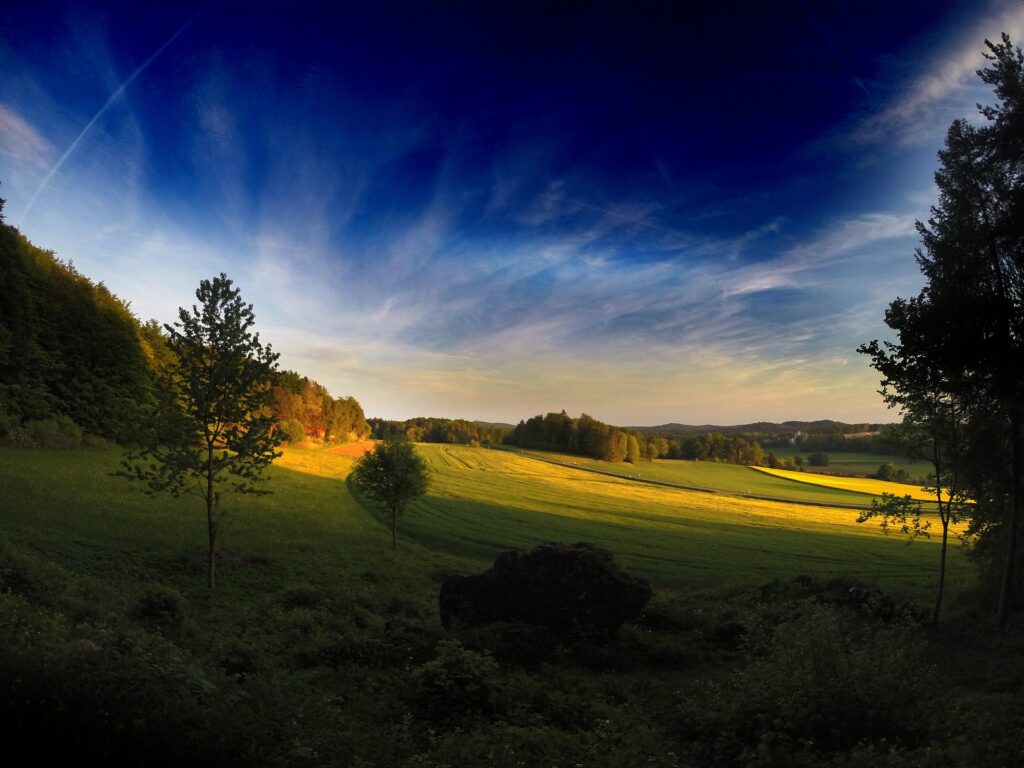 Convert 30% Of Farmland Back To Its Natural State, Study Recommends