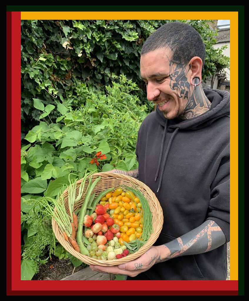 This Man Transformed His Backyard Into A Vegetable Farm