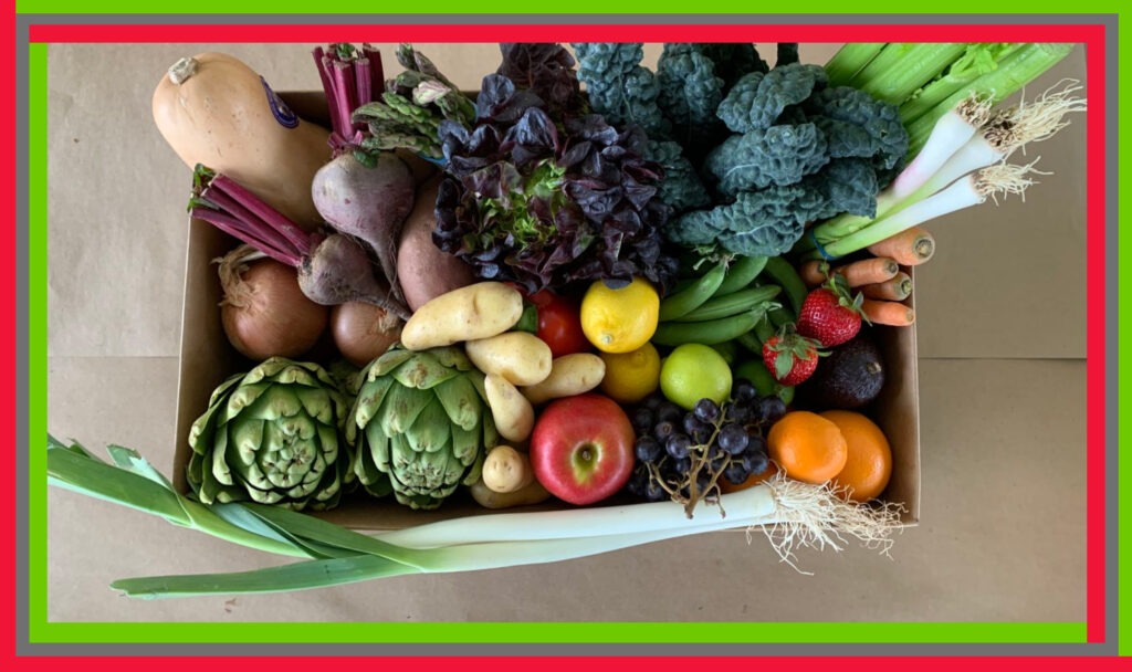 Meatless Diets Linked With Higher Risk Of Breaking Bones