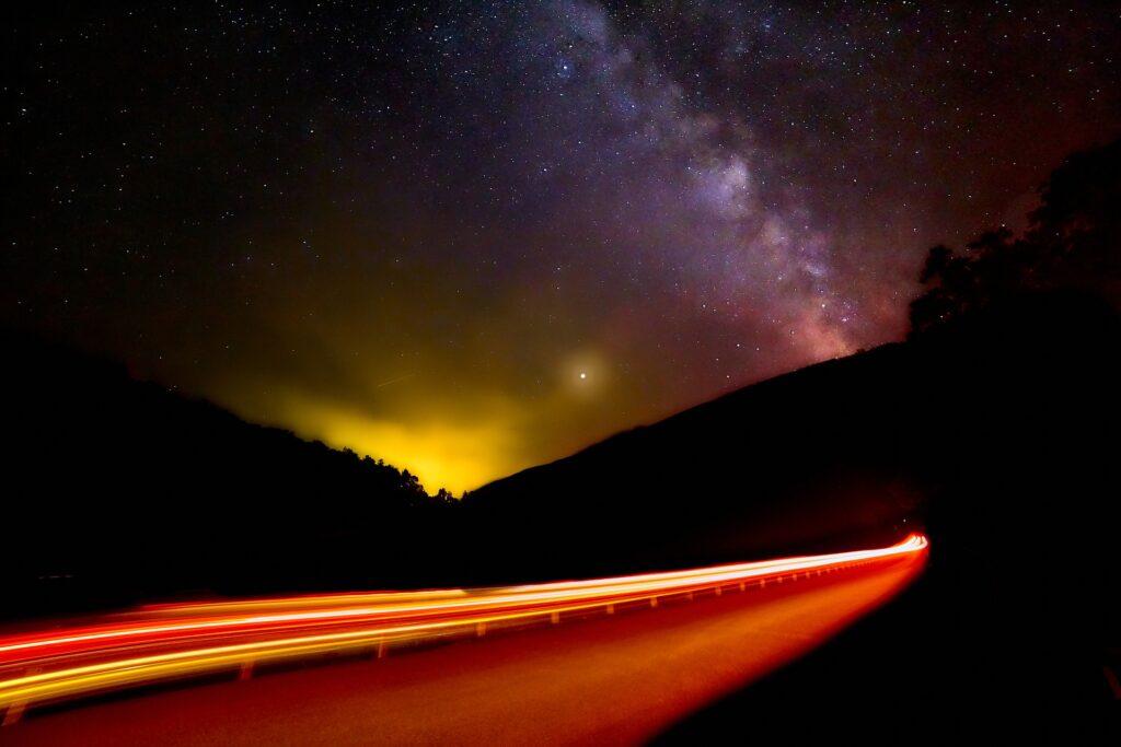 Artificial Light Is A Serious Pollutant Killing Animals & Insects And Disrupting Plant Growth