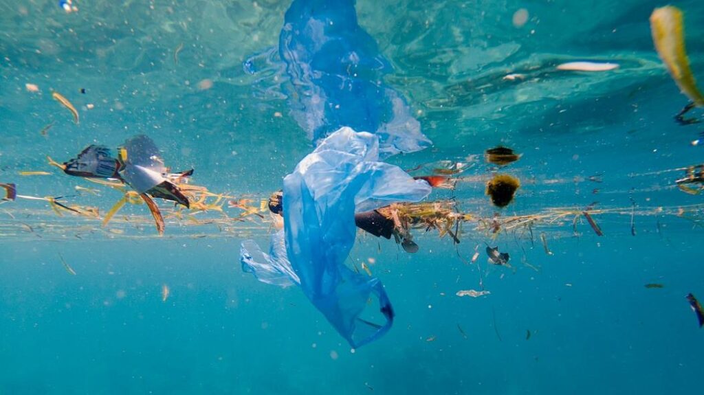 EU Bans Shipping Unrecyclable Plastic Waste To Developing Nations