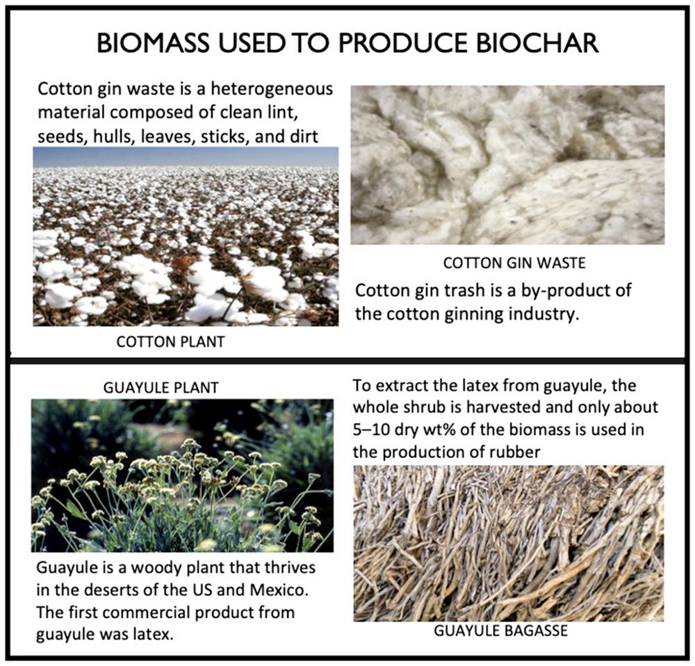 Biochar Could Be Used To Remove Contaminants From Wastewater