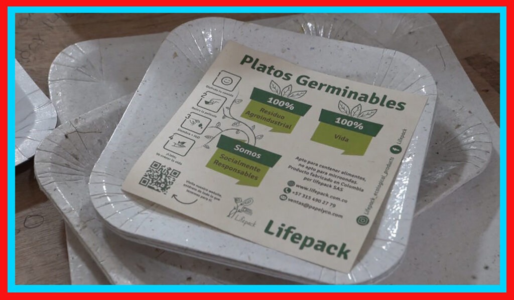 Eco-Friendly Plates Made From Pineapple Will Sprout When Planted