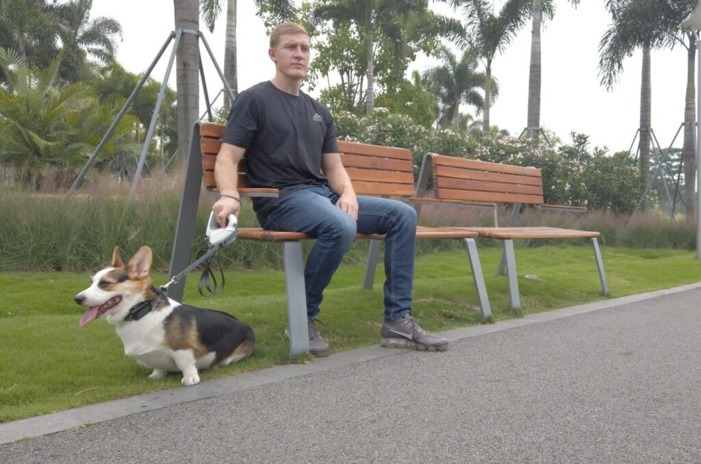 Walking a dog