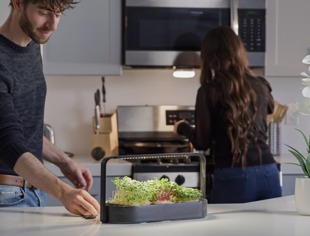 Tablefarm Grows Your Nutritious Microgreens For You