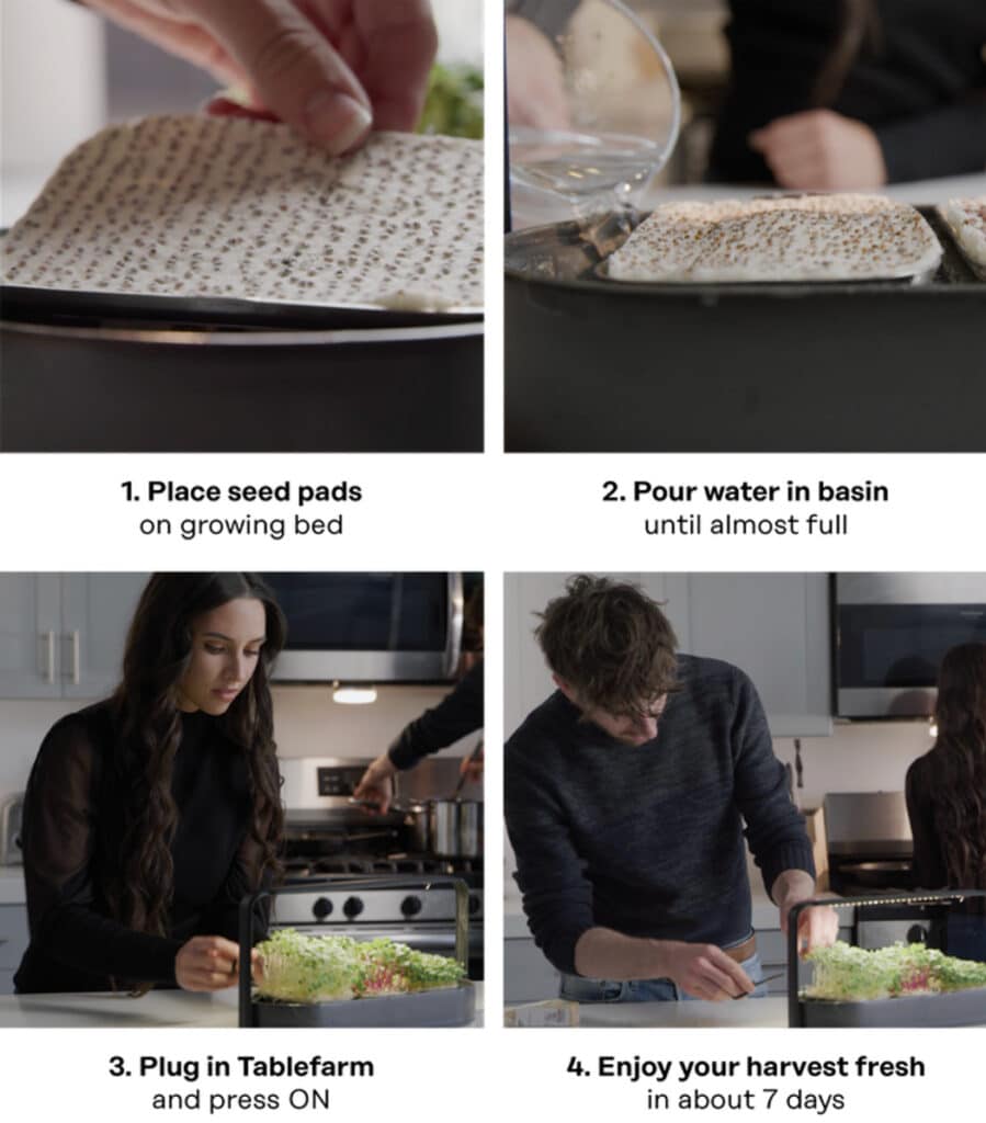 Tablefarm Grows Your Nutritious Microgreens For You