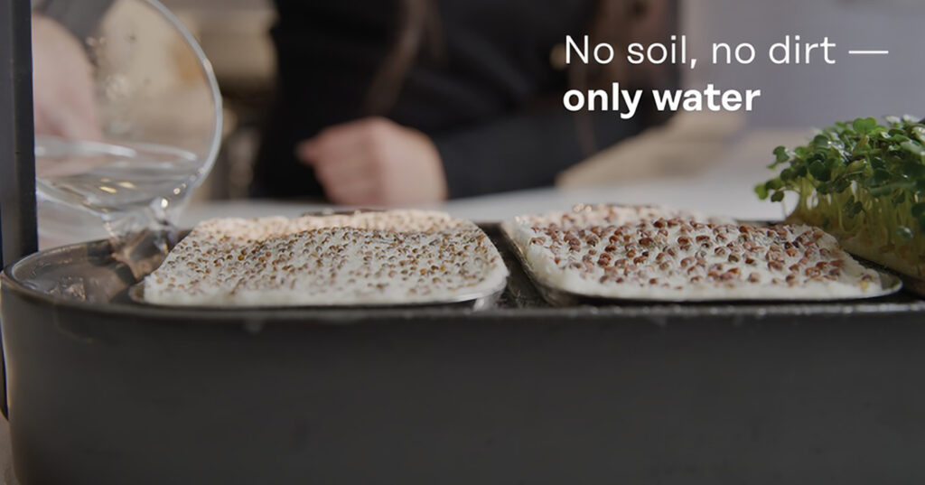 No soil, no dirt, only water
