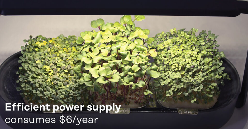 Tablefarm Grows Your Nutritious Microgreens For You