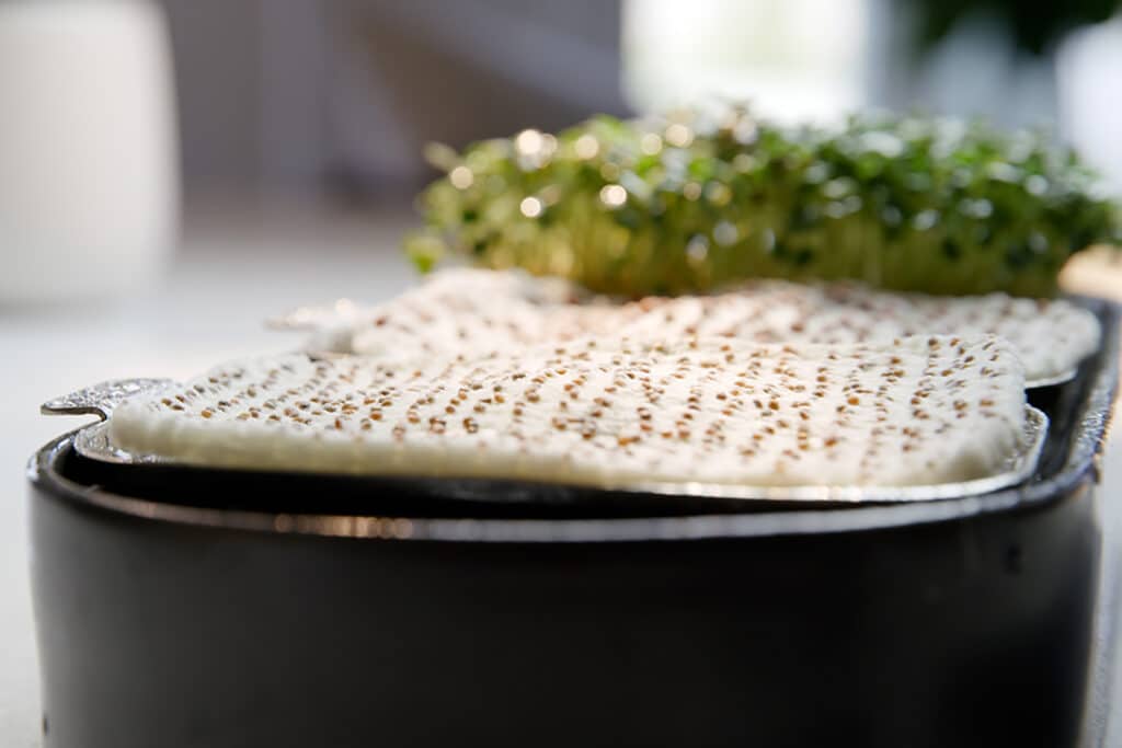 Tablefarm Grows Your Nutritious Microgreens For You