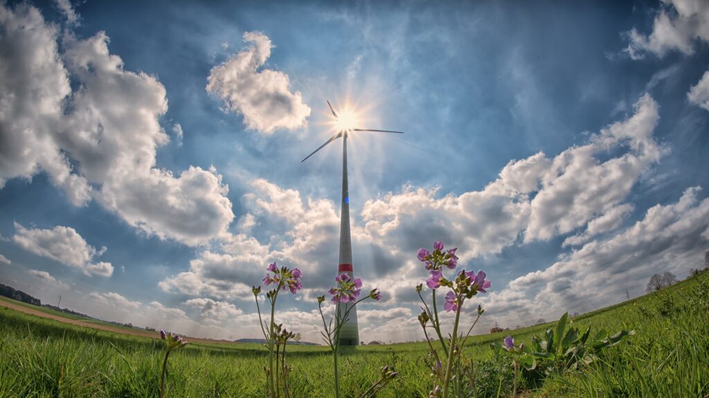 US Renewables Surpass Coal For The First Time In 134 Years