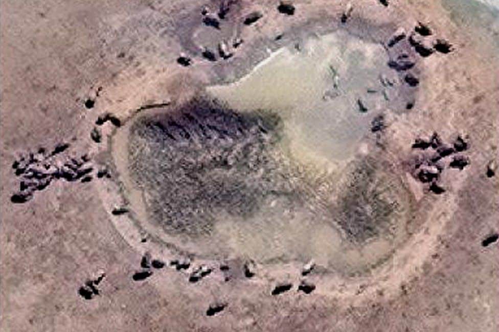 Scientists Are Counting Elephants From Space Using Satellites