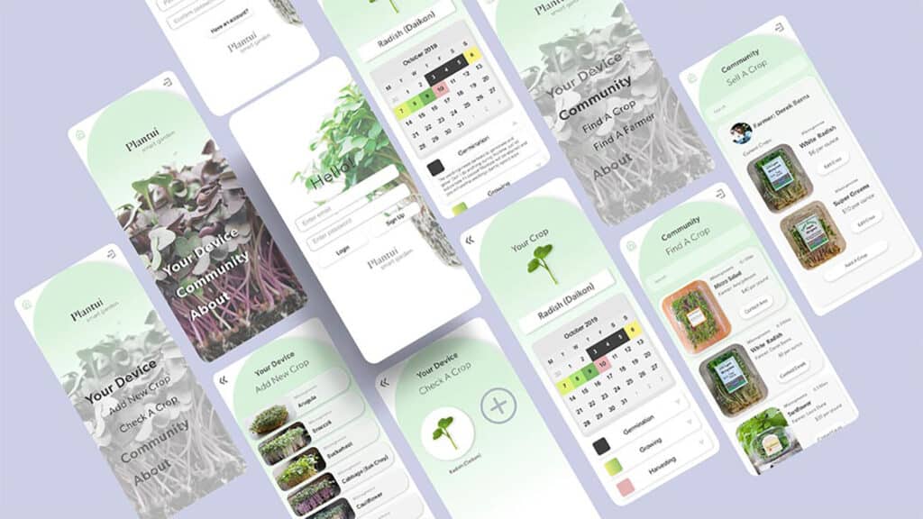 Solace is integrated with an intuitive app that guides you through the plant's life-cycle stages