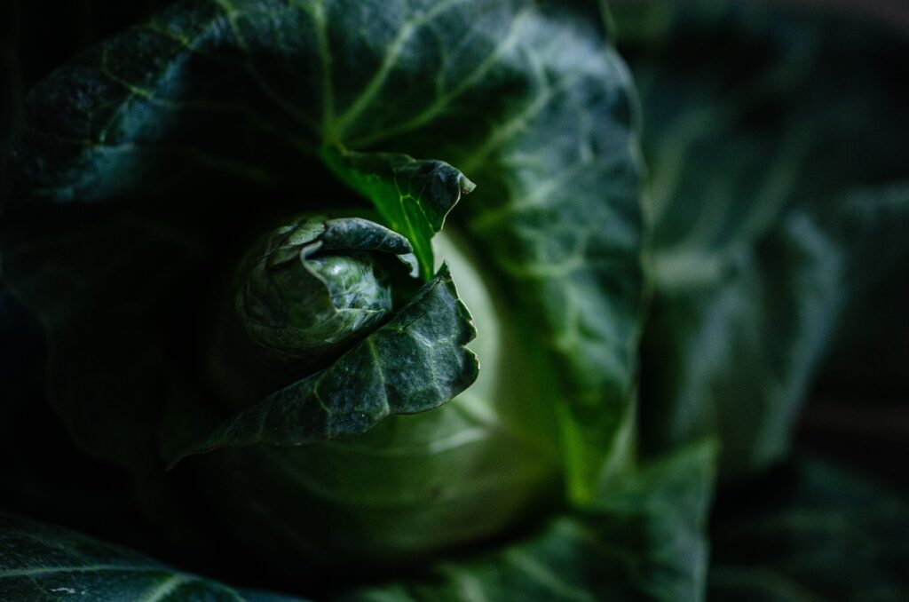The Right Food Choices To Make To Fight Inflammation