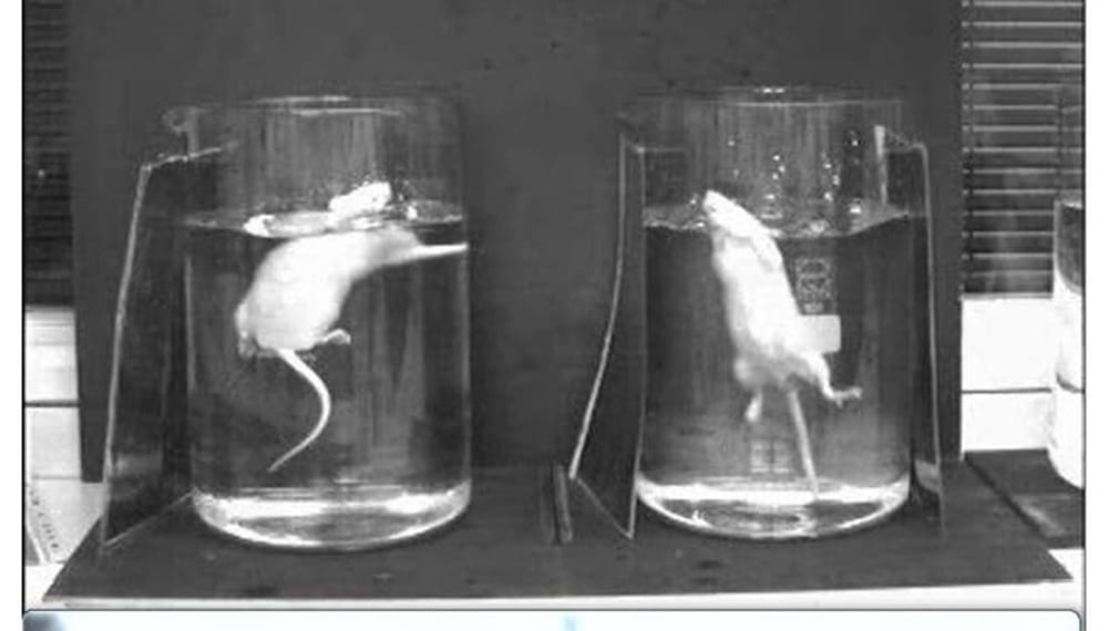 Depression Could Be Inherited Via RNA In Sperm