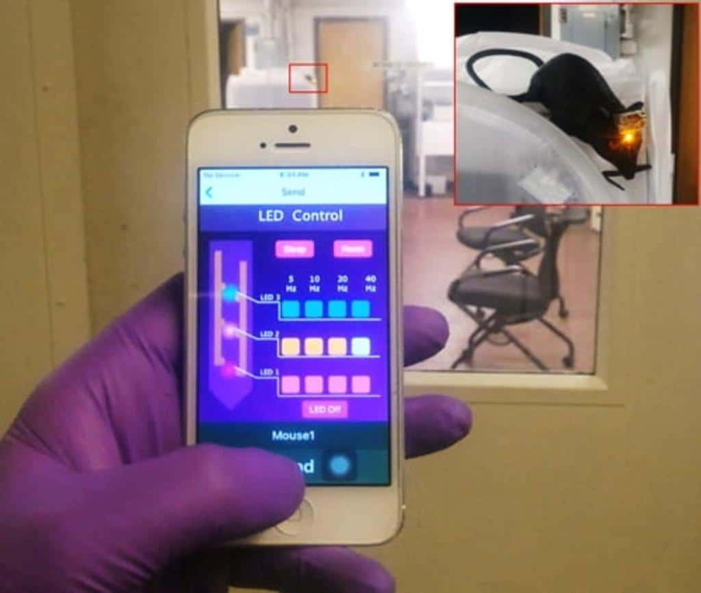 This Neural Implant Controls Brain Cells Through An App