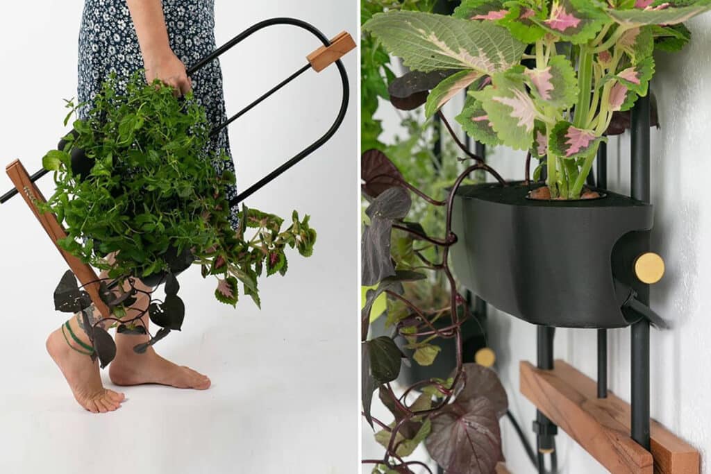Convenient Hydroponic Planter Uses Water From Toilet And Dishwasher