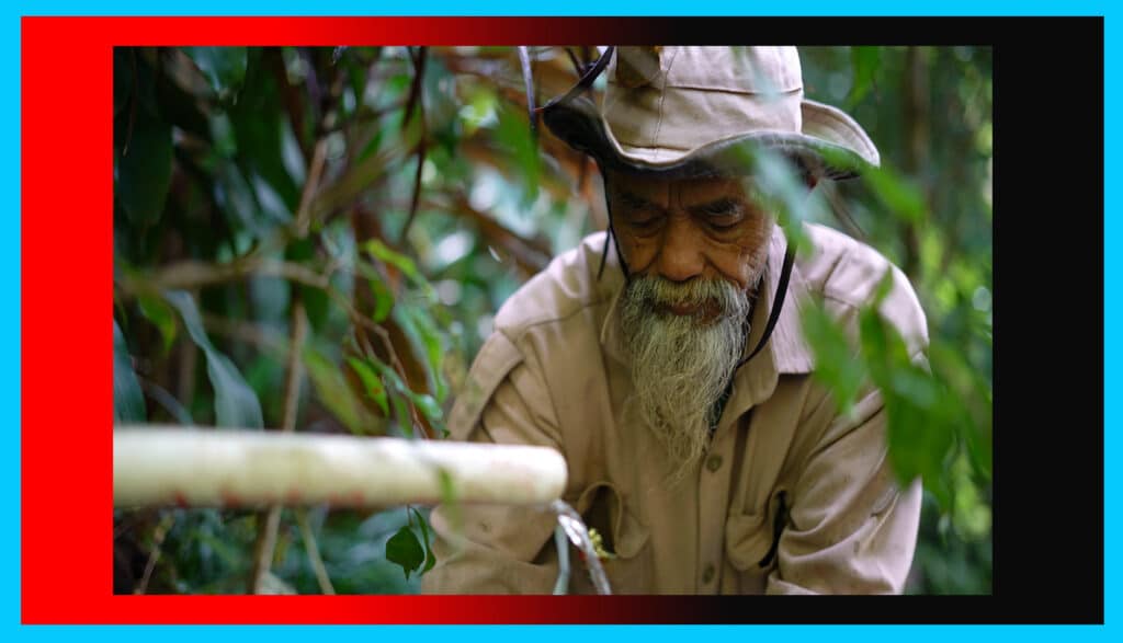 Indonesian Eco-Warrior Plants 11K Trees Turning Arid Hills Green