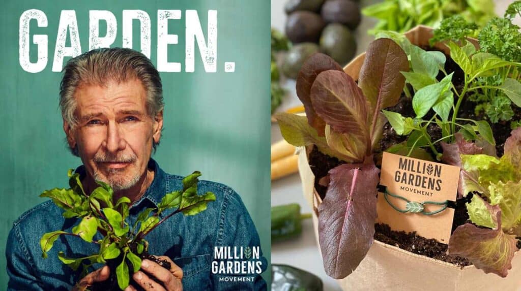 Kimbal Musk Launches' Million Garden Movement'