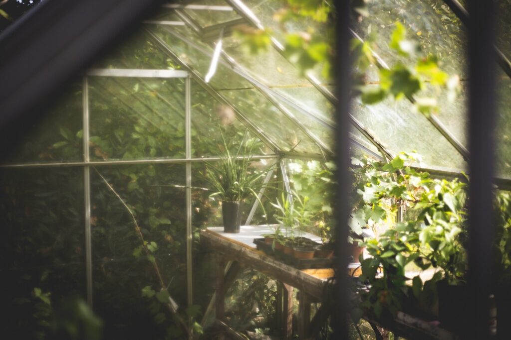 Semi-Transparent Solar Cells Power Greenhouses Without Harming Plants